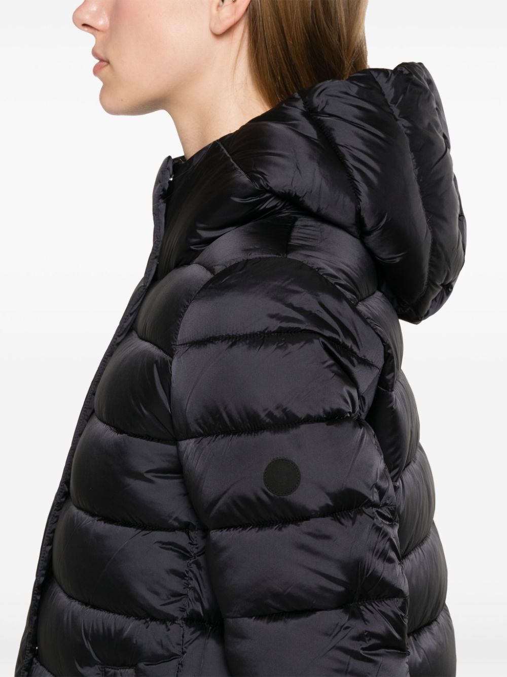 Drimia jacket