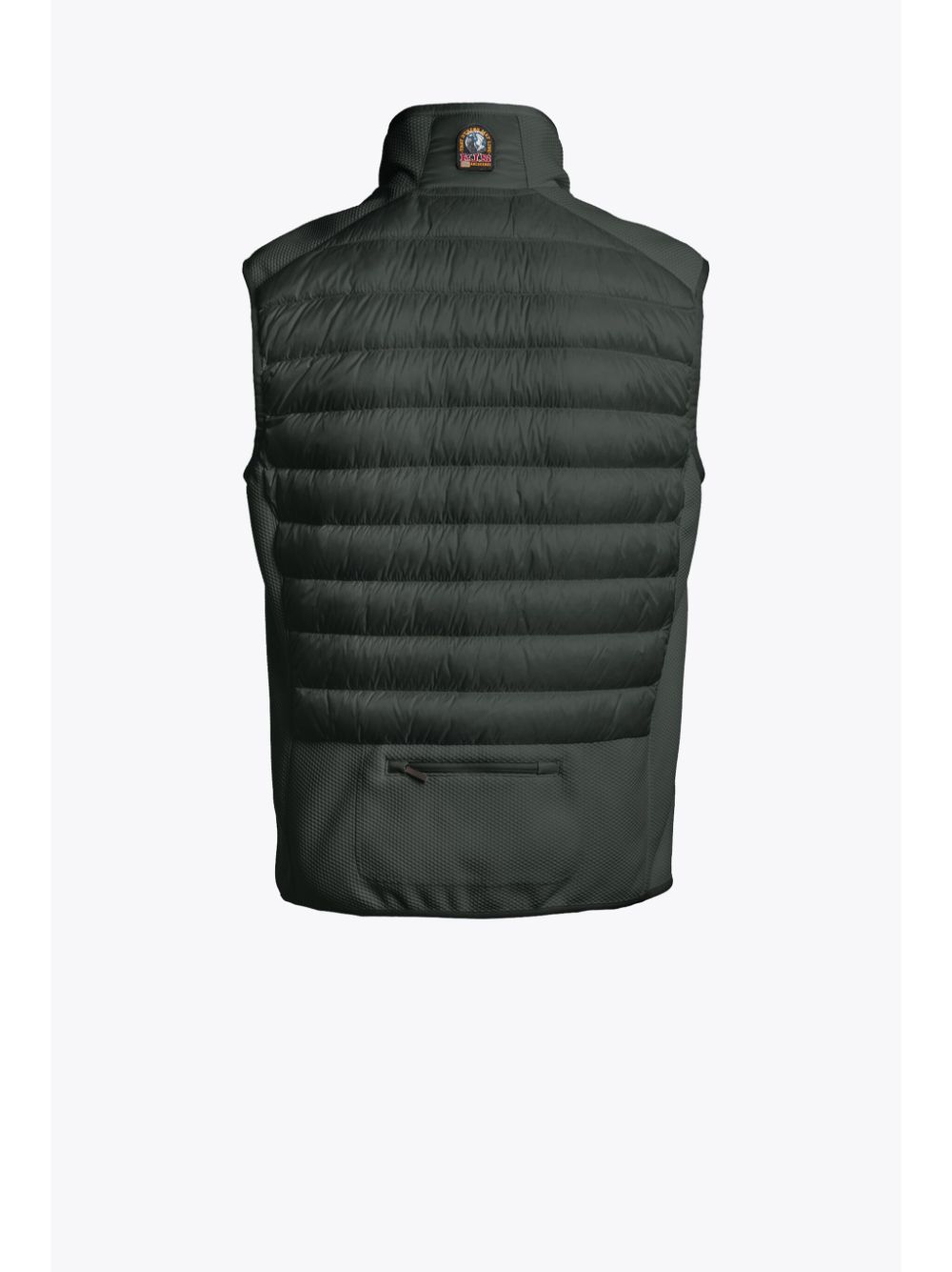 Zavier vest