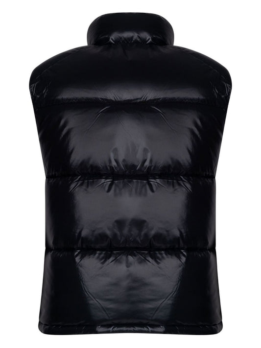 Ailantus gilet