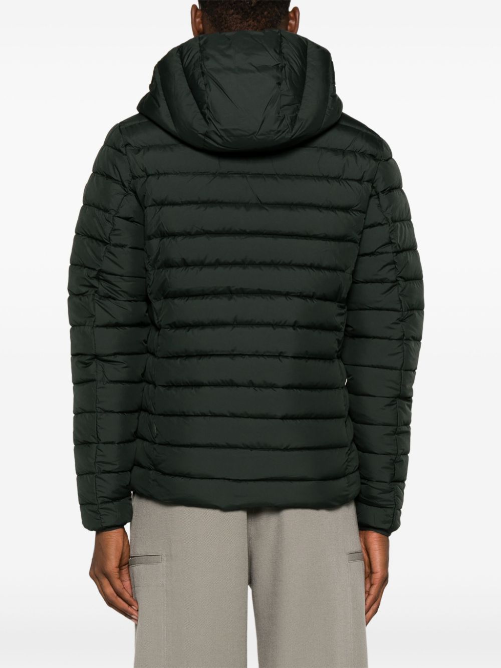 Veste Juncus
