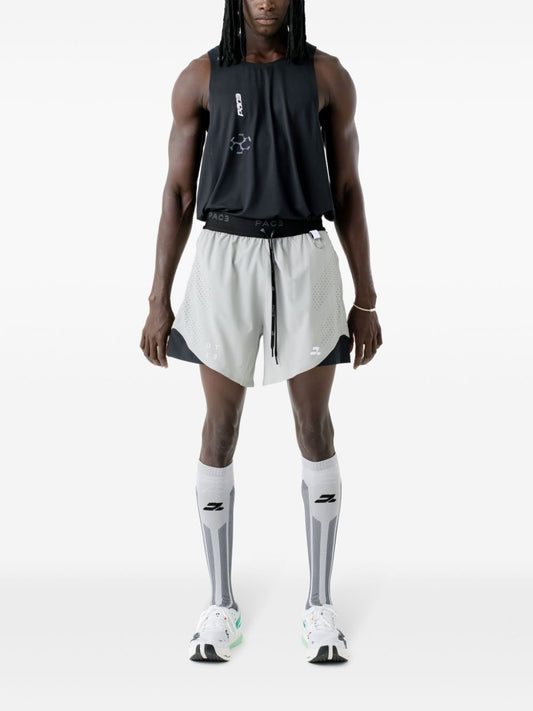 DT2 Flecks shorts
