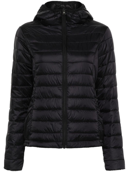 hooded insulated jacket