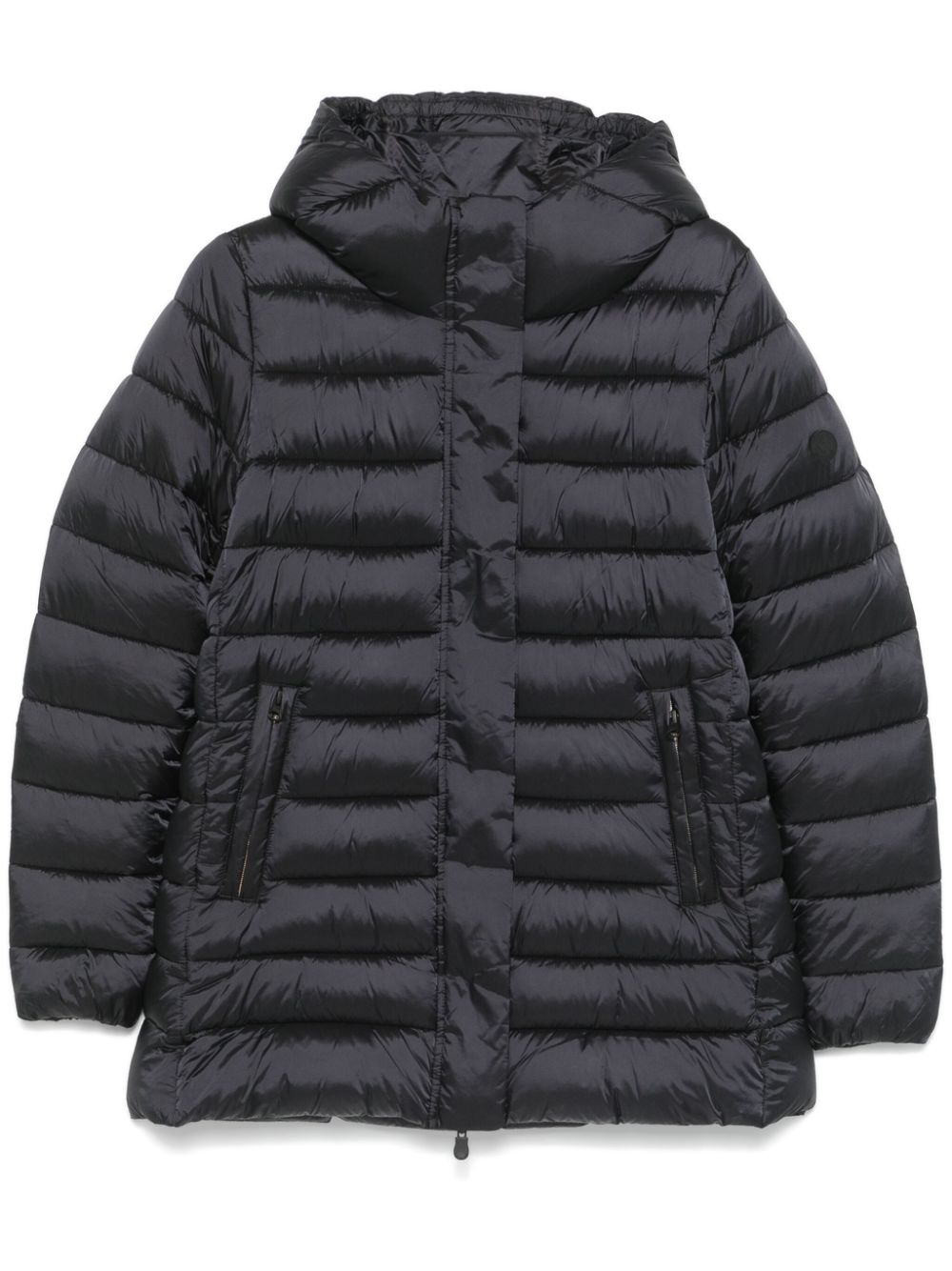 Drimia jacket