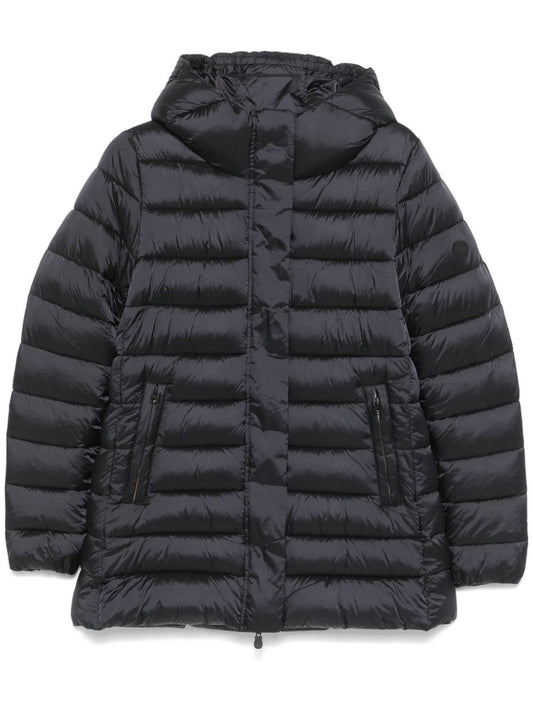 Drimia jacket