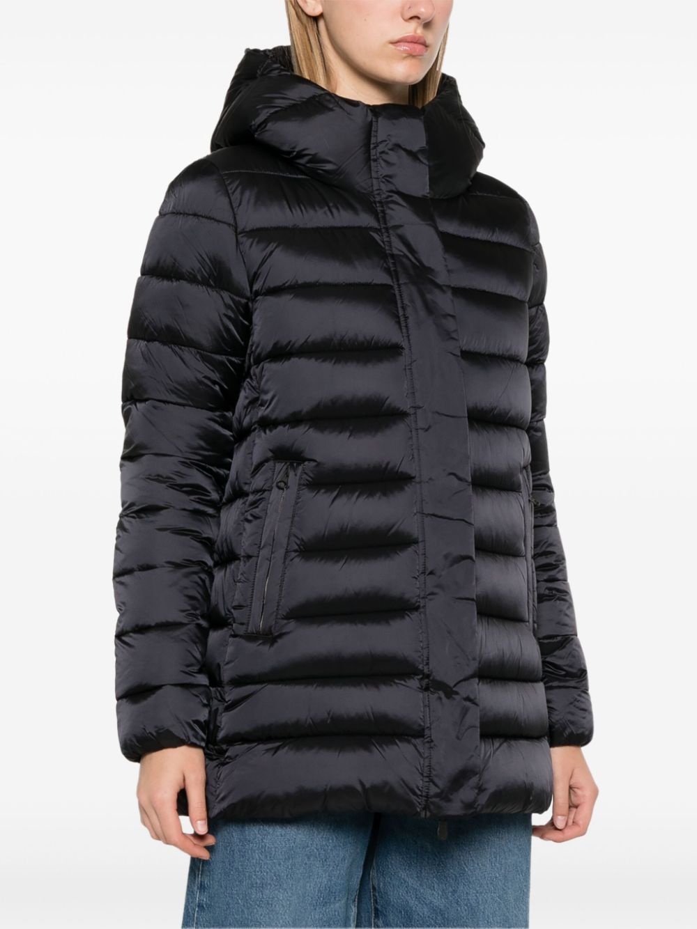 Drimia jacket