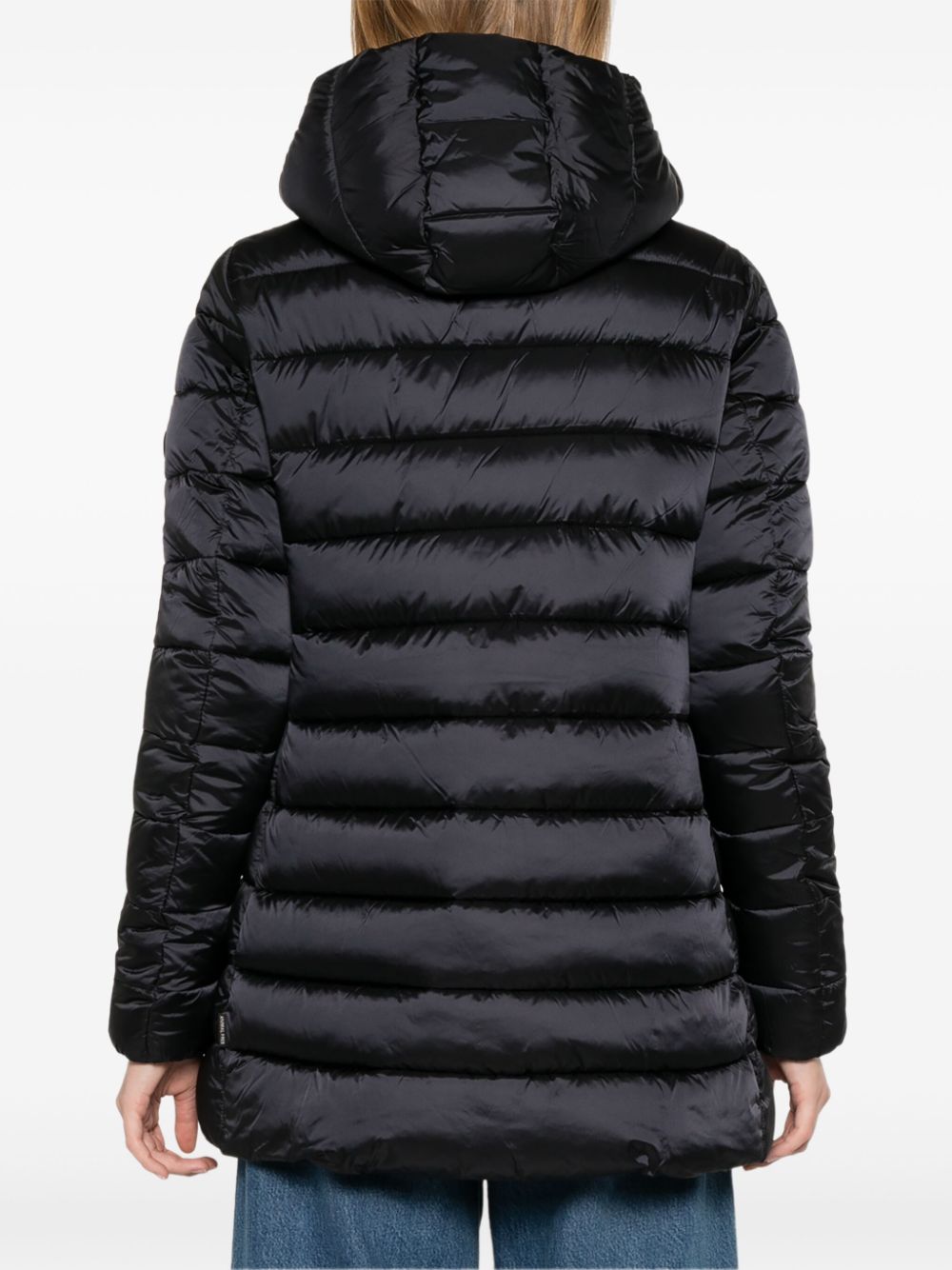Drimia jacket