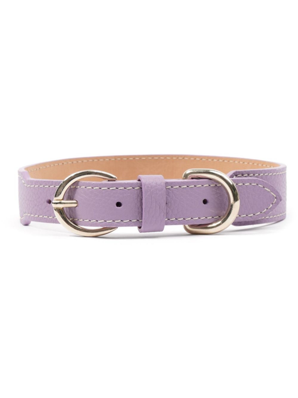 collier pour chien en cuir à double boucle