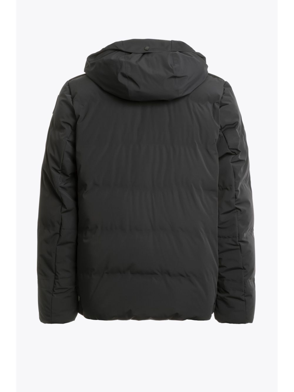 Veste nuage